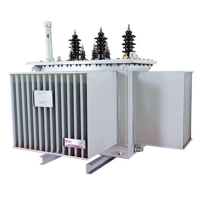 100kva 20 kV-400 V 50 Hz AUTOTRANSFORMER বিশেষ উৎপাদনের জন্য পাওয়ার ট্রান্সফরমার