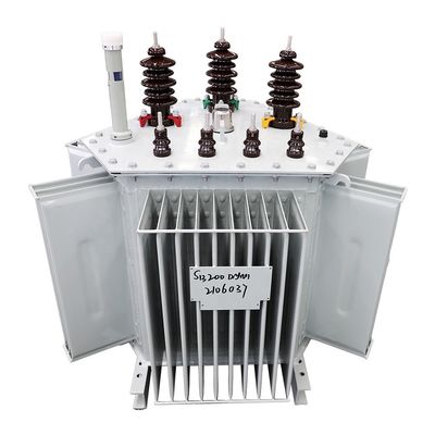 300kva 3 ফেজ 11kv/0.4kv তেল ভরা 400kv পাওয়ার ট্রান্সফরমার 50/60Hz ফ্রিকোয়েন্সি সহ